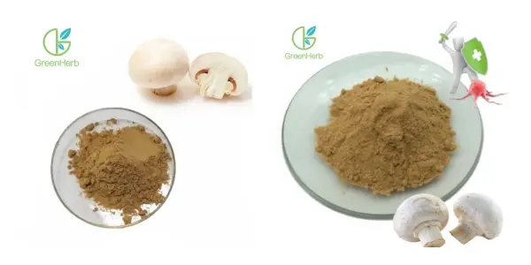 Agaricus Bisporus Extract.webp